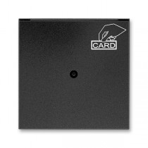 3559M-A00700 37  Kryt spínače kartového, s čirým průzorem, s potiskem, onyx